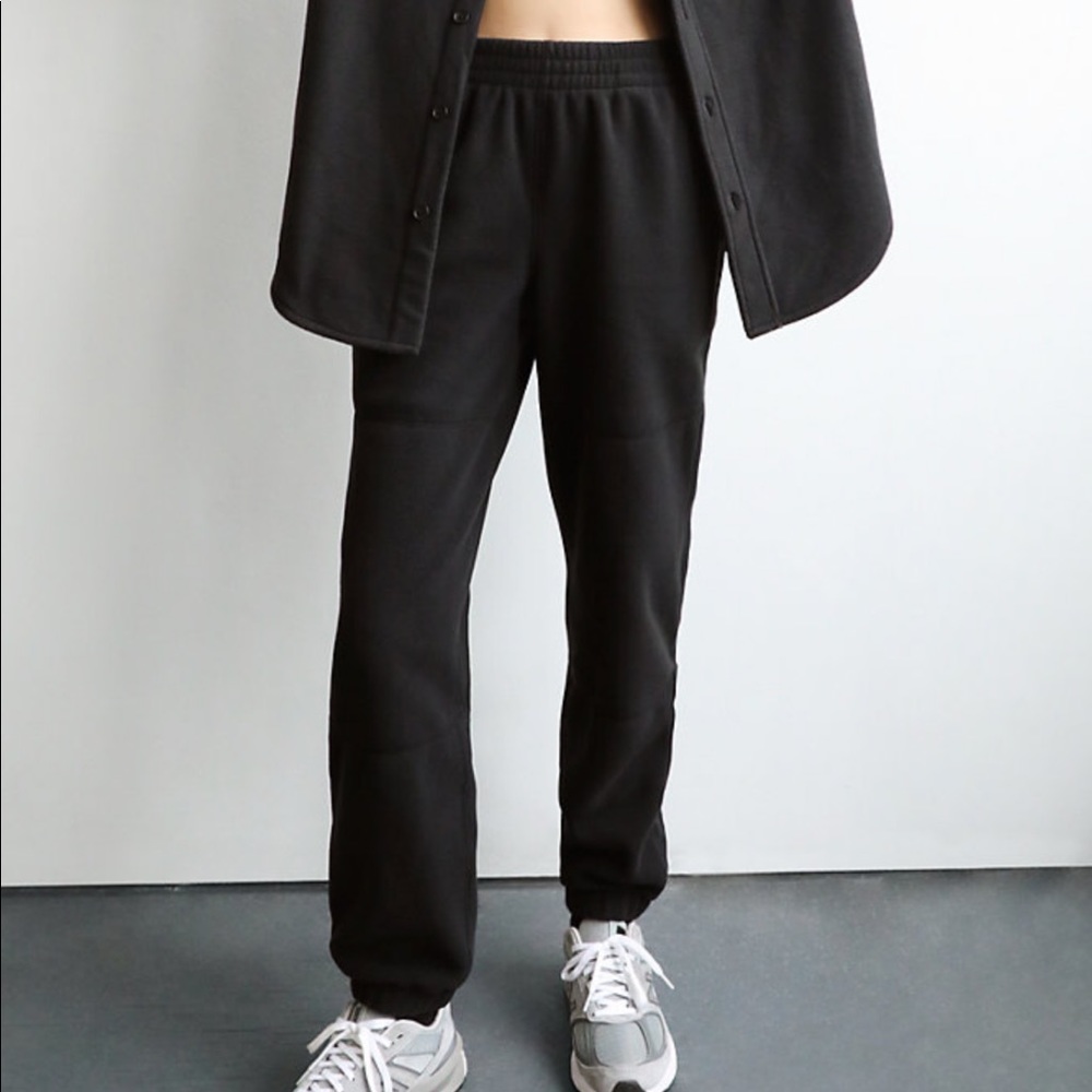 Aritzia TNA polar jogger